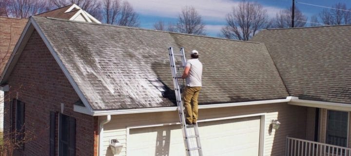 Roof Services