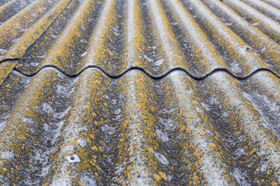 How Can You Safely Remove Mold From Your Roof?